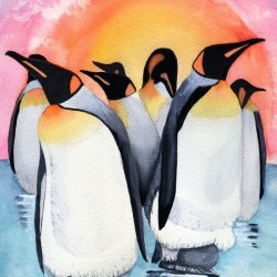 Sunset Penguins